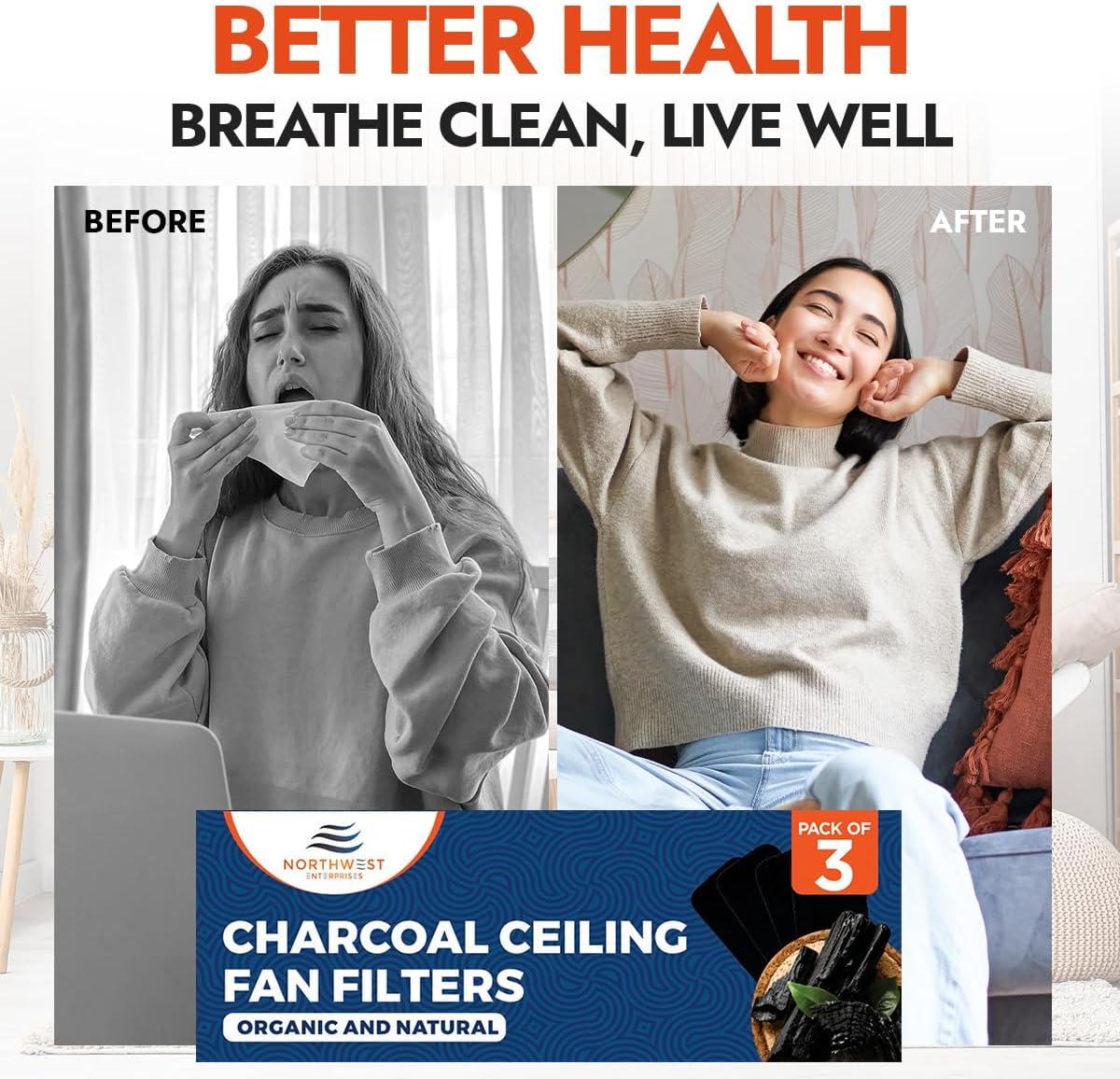 imageCeiling Fan Filters  Charcoal Ceiling Fan Filters for Blades  Activated Carbon Air Filters for Indoor Use  Fan Blade Air Purifier Pads That Remove Dust Pollen ampamp Household Contaminants 5Pack15 Pack